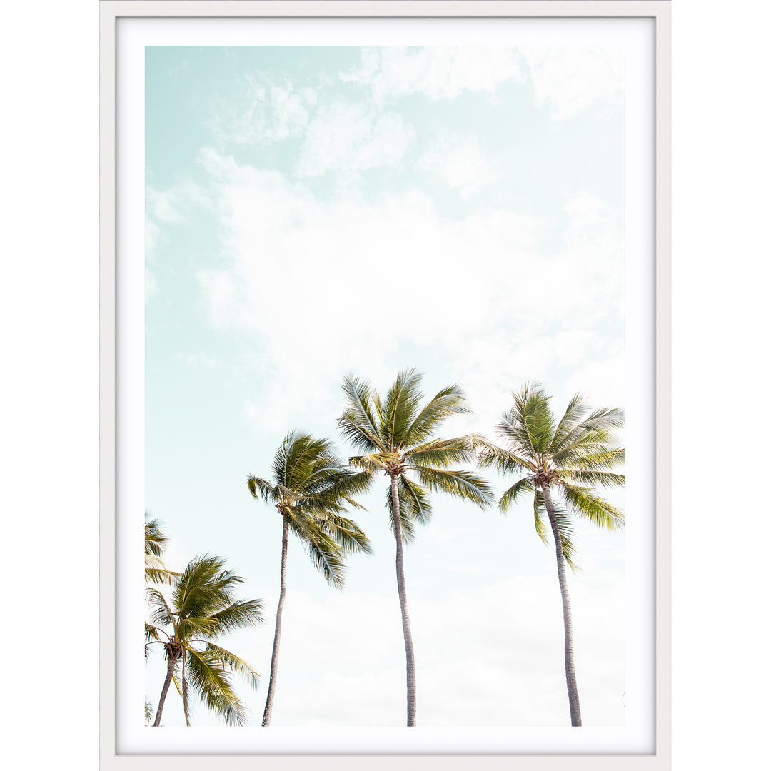 Tropical Palms I