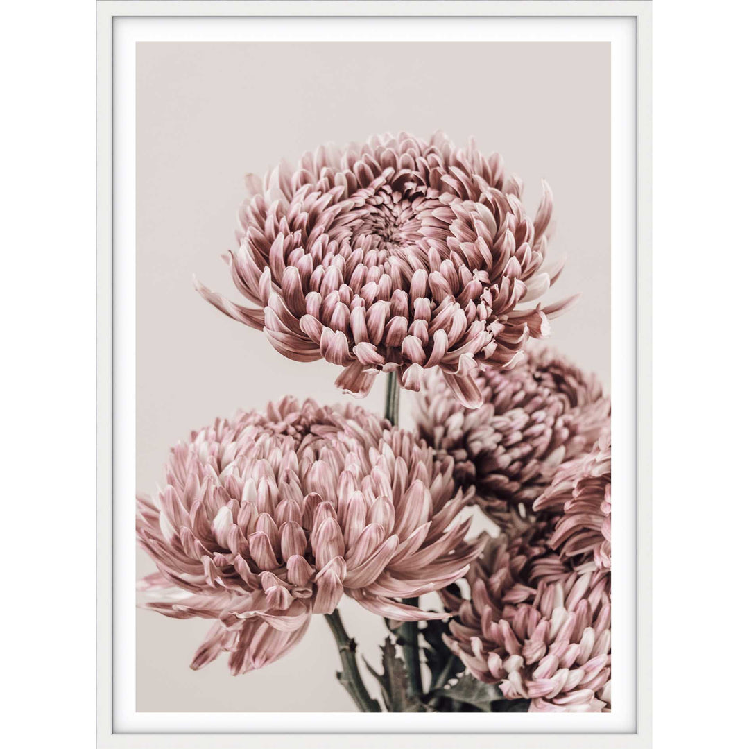 Vintage Chrysanthemums I