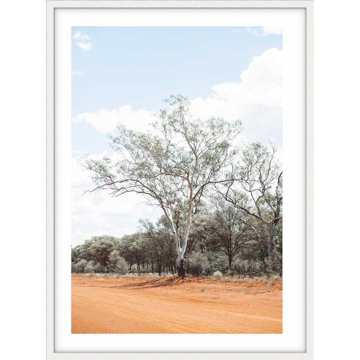 Gums of Gunabooka II