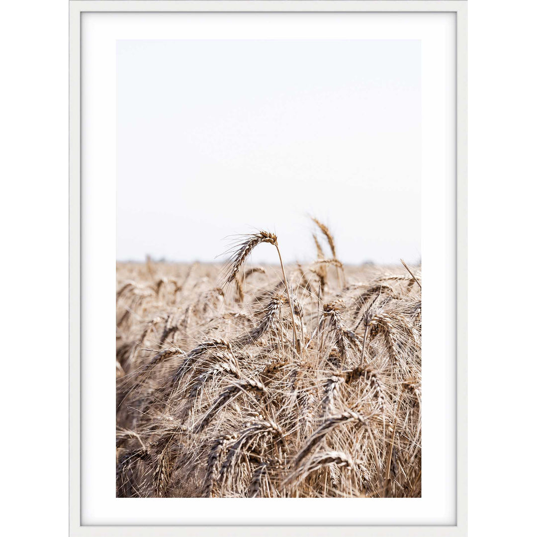Wheat Farm I