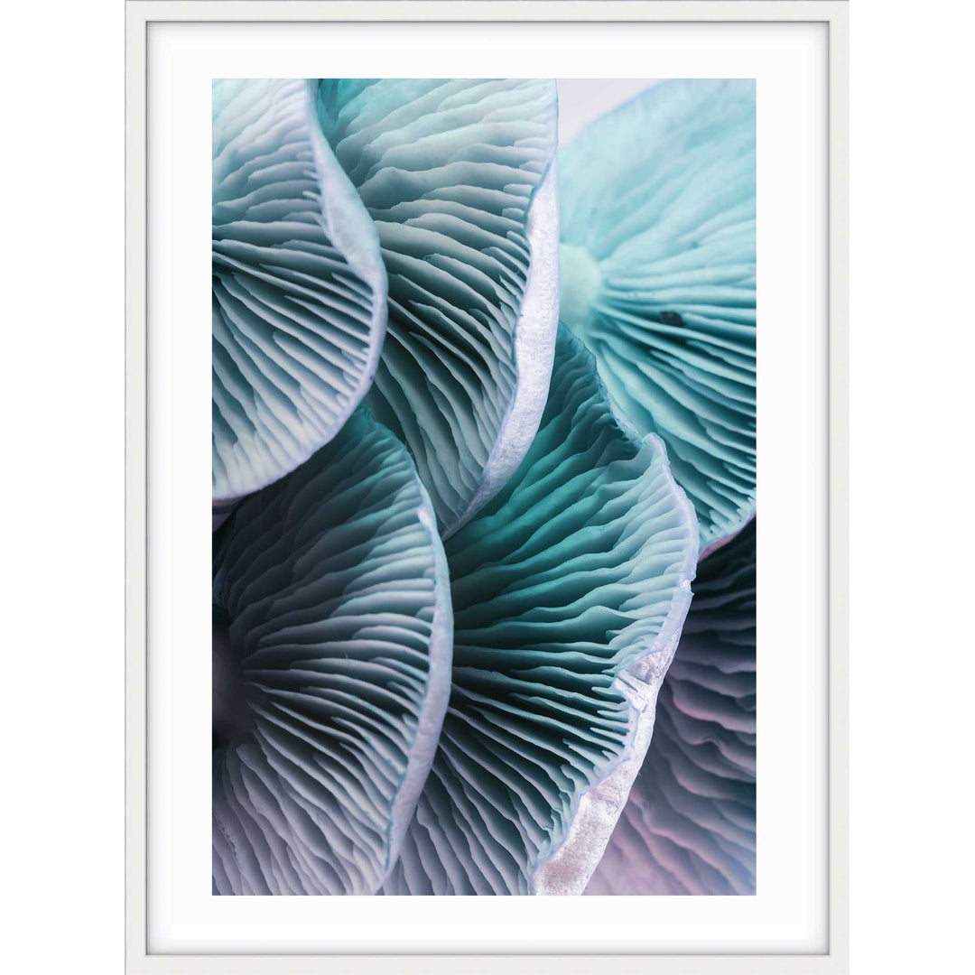 Blue Mushrooms