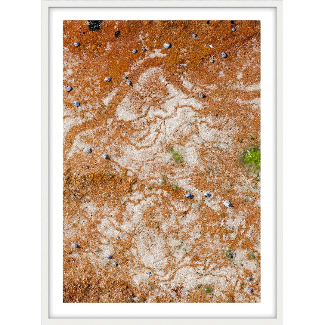 Traces in Ochre