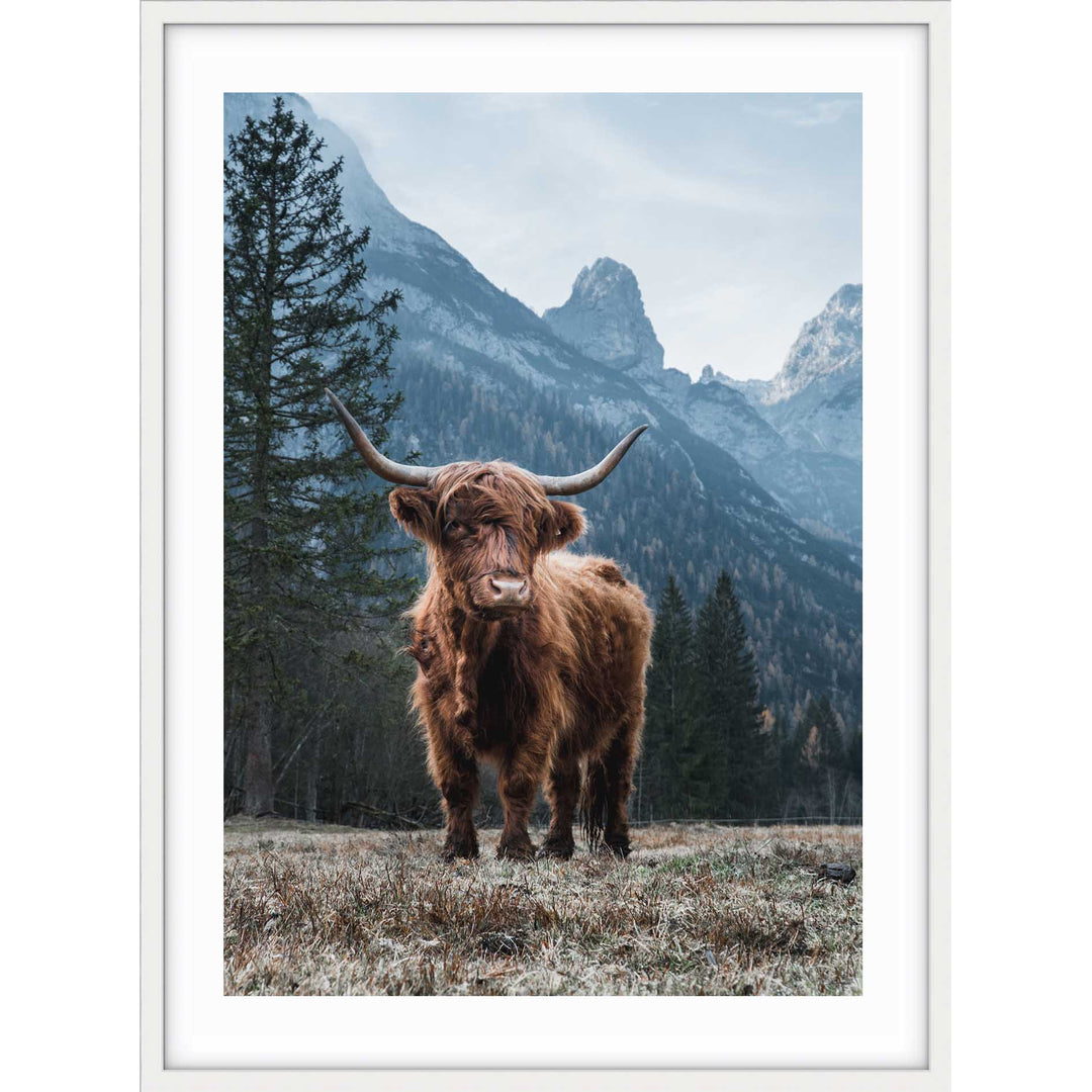 Wild Highland I