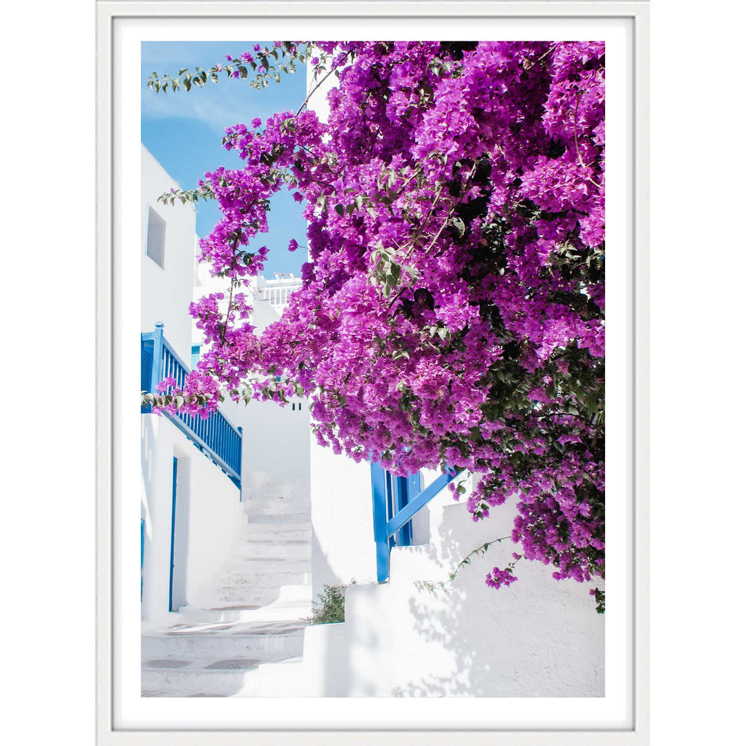 Bright Isle Blooms