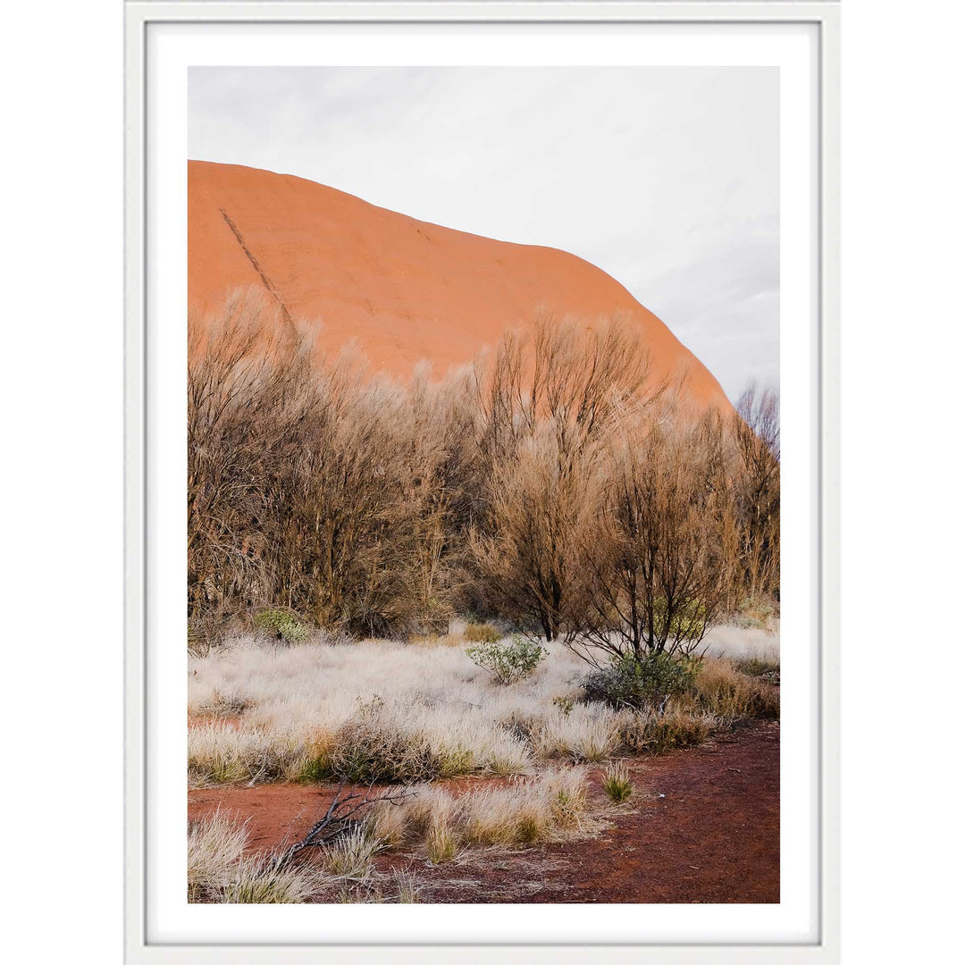 Red Dirt Uluru IV - Portrait