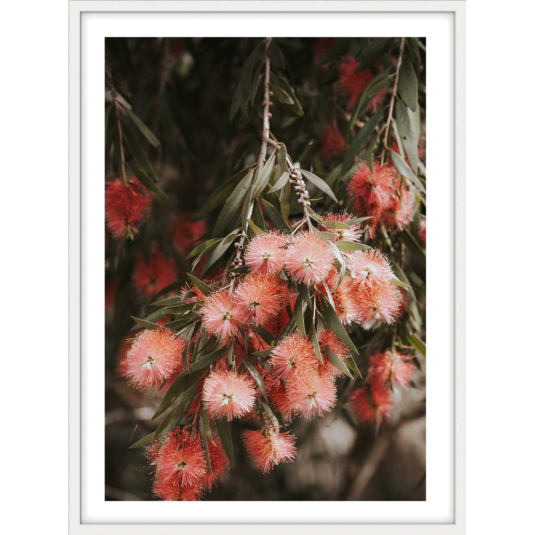 Bottle Brush I