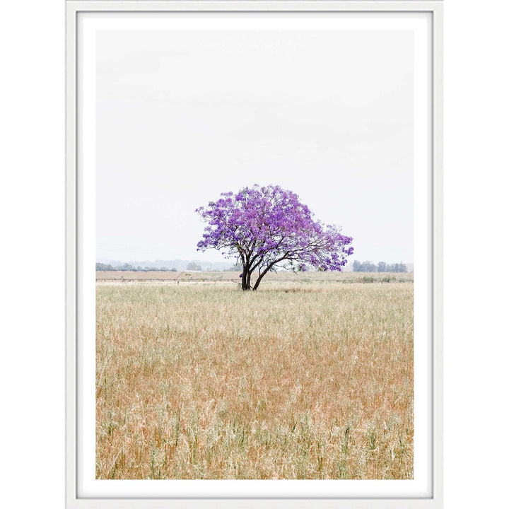 The Lonely Jacaranda I