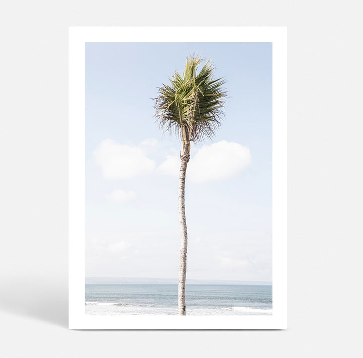 Bali Palm
